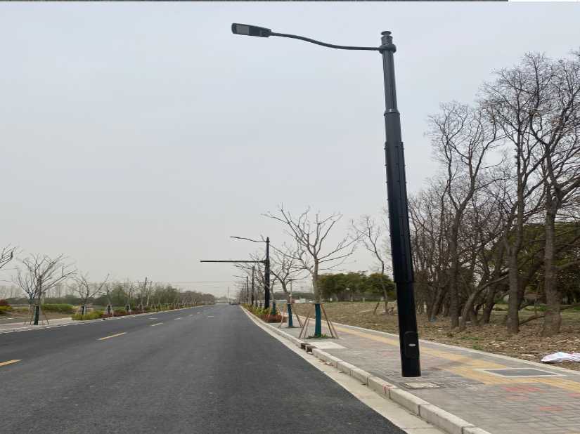 保亭黎族苗族自治县上海综合杆 太阳能路灯工程